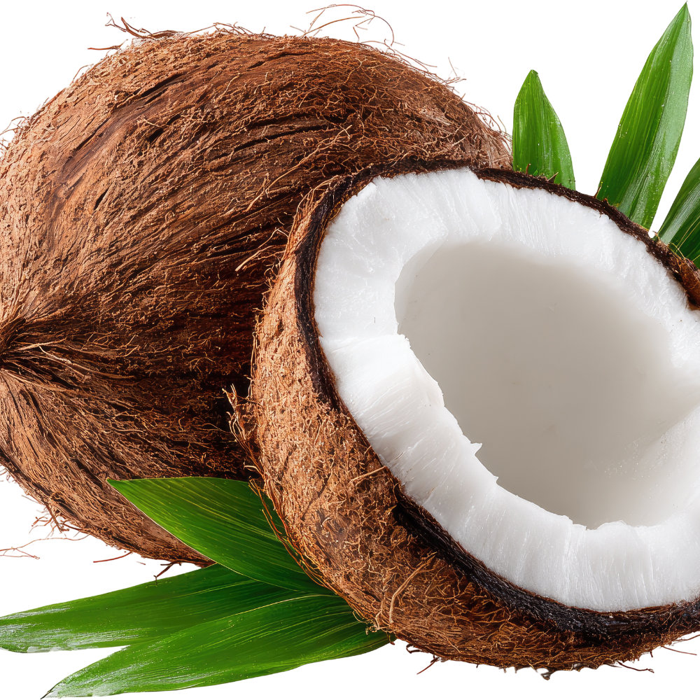 Coconut 