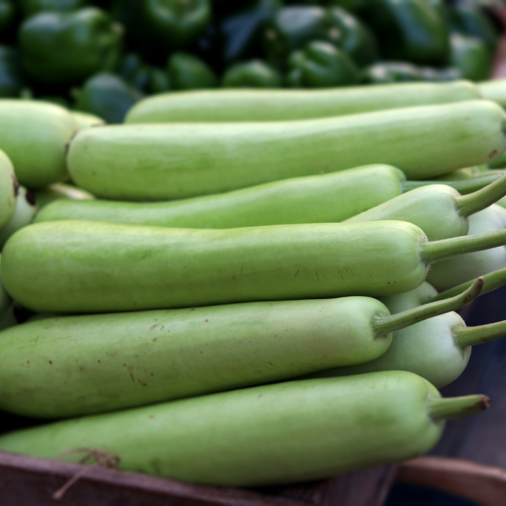 Bottle Gourd (Suraikkai)