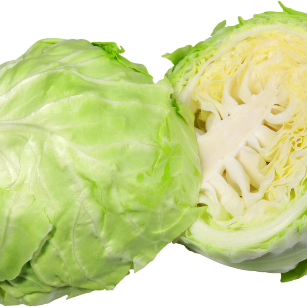 Cabbage